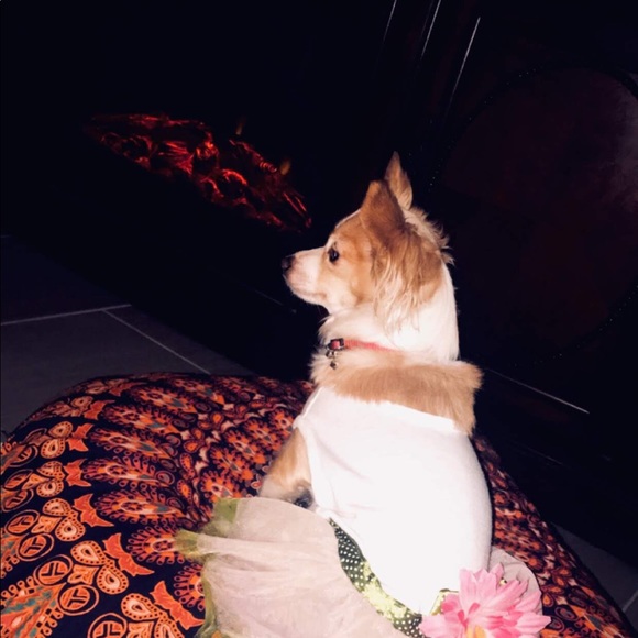 Meet your Posher, Sonali - Picture 1 of 1